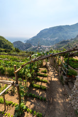 Fototapeta na wymiar View from Ravello on the Amalfi Coast in Italy