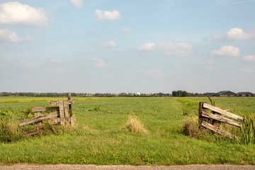 Dilapidated wooden open gate is overgrown with weeds, green field, pasture and a light blue sky with clouds, in the foreground the road. © Clara