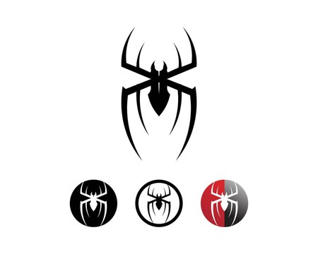 Spider vector and insect animal