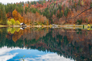 Autumn sunrise on the lower lake of Fusine. Explosion of colors
