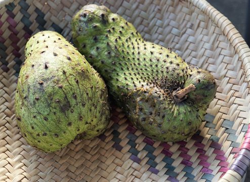soursop exotic fruits in africa soursop