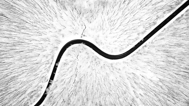 Fototapeta Aerial view of curvy road in the middle of a leafless deciduous forest in winter time