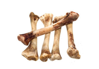 bone isolated on white background
