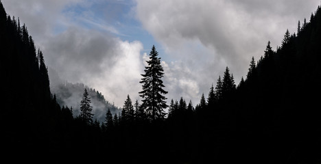 High mountain landscape whit trees silhouette in the Southern Carpathians of Romania. Foggy...