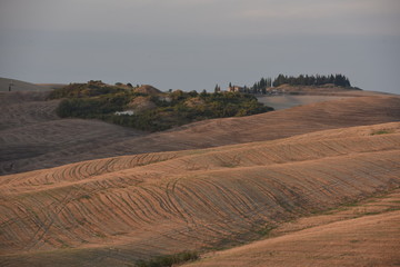 Obraz premium Tuscany field