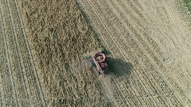 Combine Harvesting Corn in Autumn Aerial