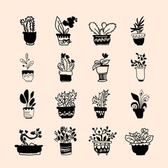 Cute pots with blloming housplants and cactus. Hand drawn vector illustration set