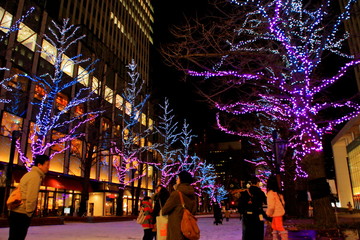 北海道、札幌市 、北3条広場akapuraのホワイトイルミネーションの風景、