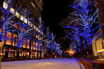 北海道、札幌市 、北3条広場akapuraのホワイトイルミネーションの風景、