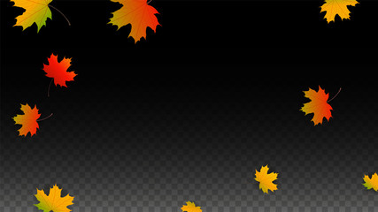 September Vector Background with Golden Falling Leaves. Autumn Illustration with Maple Red, Orange, Yellow Foliage. Isolated Leaf on Transparent Background. Bright Swirl. Suitable for Posters.