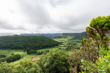 Obraz premium Lush green view of two smaller calderas inside a larger one on the island of Sao Miguel in the Azores.