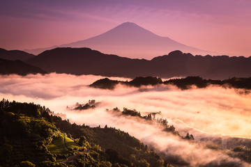 Obraz premium Mt.Fuji and sea of mist in morning