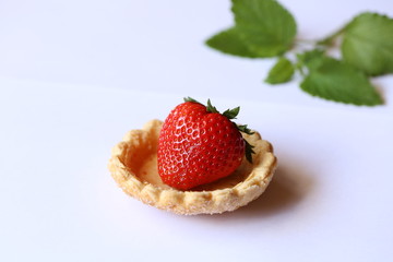 erdbeere