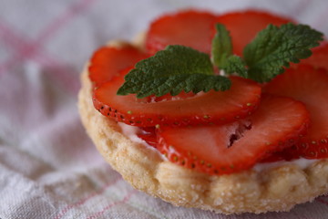erdbeere