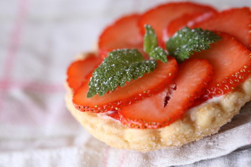 erdbeere