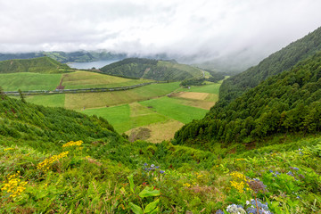 Flowers on the rim of the Sete Cidades Caldera with Lagoa Azul in the distance.