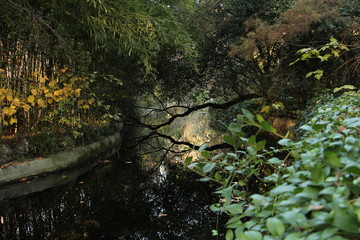 parque del capricho