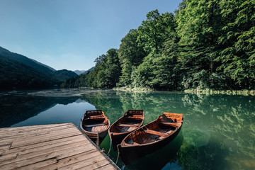 tree wooden boats on lake