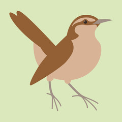 robin  bird , vector illustration ,  flat style  ,profile