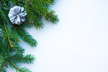 Obraz premium Christmas still life, spruce branch and cone. Merry Christmas and a happy new year. 