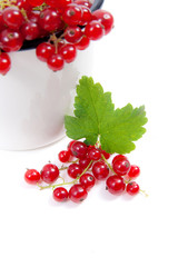 White cup with red currant berry in it and small bunch of red currant with green leaf  isolated on white..