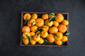Fototapeta na wymiar Tangerines (clementines)