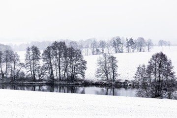 Winter landscape with white snow covered fields, trees and hedges