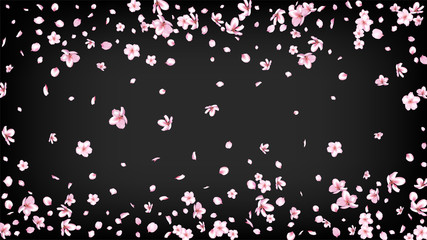 Fototapeta na wymiar Nice Sakura Blossom Isolated Vector. Feminine Falling 3d Petals Wedding Border. Japanese Beauty Spa Flowers Wallpaper. Valentine, Mother's Day Beautiful Nice Sakura Blossom Isolated on Black