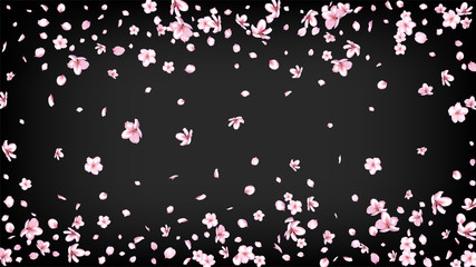 Nice Sakura Blossom Isolated Vector. Feminine Falling 3d Petals Wedding Border. Japanese Beauty Spa Flowers Wallpaper. Valentine, Mother's Day Beautiful Nice Sakura Blossom Isolated on Black