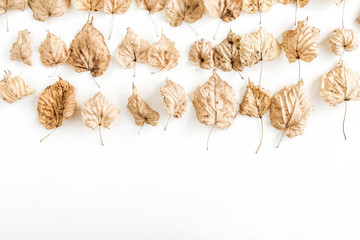 Fall / autumn leaves on white background. Flat lay, top view minimal composition.