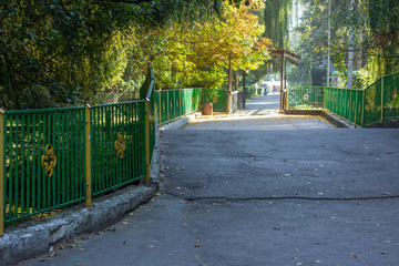 morning park outdoor natural environment in autumn seasonal weather time with yellow leaves on trees and empty concrete road path alley way space for walking through wooden arch bridge