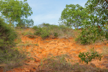 The sand dunes of Vietnam