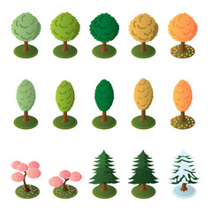 Isometric trees icon set. Vector.