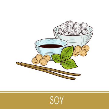 Soy. Bowl with sauce, tofi. Soybeans, leaves, stick. Sketch. Color.