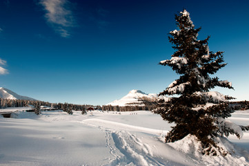 Sport sulla neve