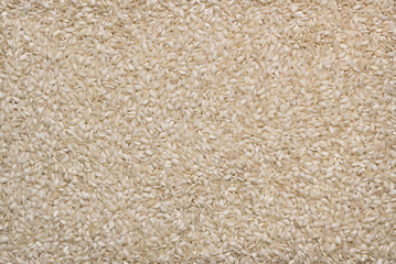 Background of raw white rice