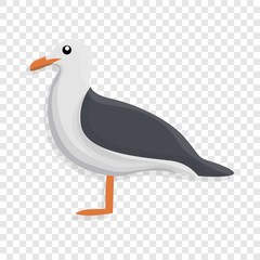 Seagull icon. Cartoon of seagull vector icon for web design  