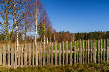 Fototapeta premium Okolice Puszczy Knyszyńskiej - PODLASIE - Polska