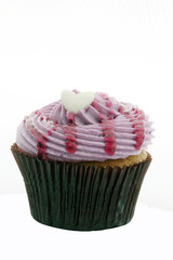 Colorful Cupcakes on a white background