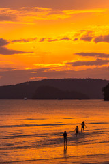 Fototapeta premium sunset on the sea