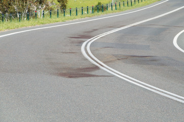 Large blood stain on rural road after wildlife roadkill