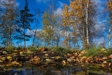  The shore of the lake Smartie. The reflection in the water