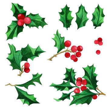 Set of watercolor holly berries and leaves. Perfect for christmas invitations, greeting cards, blogs, wedding posters and holiday clips isolated on a white background.