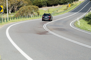Large blood stain on rural road after wildlife roadkill