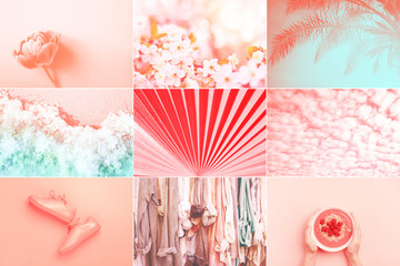 Collage made of nine photos in trendy living coral color. Trendy color of the 2019: Living Coral...