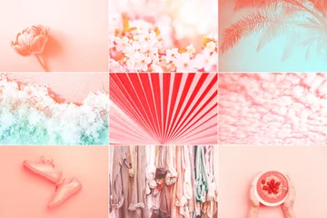 Collage aus neun Fotos in der trendigen Farbe Living Coral. Trendfarben des Jahres 2019: Living Coral und Limpet Shell. © Olga Zarytska