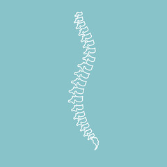 Vector illustration white spine diagnostic symbol, design, sign on blue background.