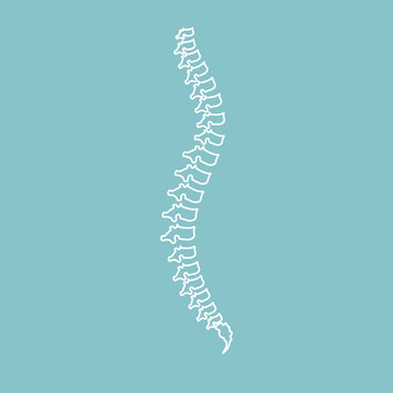 recommend clip art: Vector illustration white spine diagnostic symbol, design, sign on blue background.