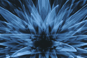 Obraz premium Hallucinations in shape of big surreal plant with long leaves close up. Negative abstract illusion on drink and drug theme. Psychedelic tropical effect of cannabis or alcohol. Lsd effect. Hemp dope.