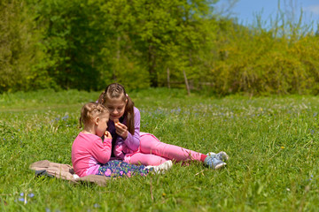 Two sisters had a picnic in a green meadow among meadow flowers